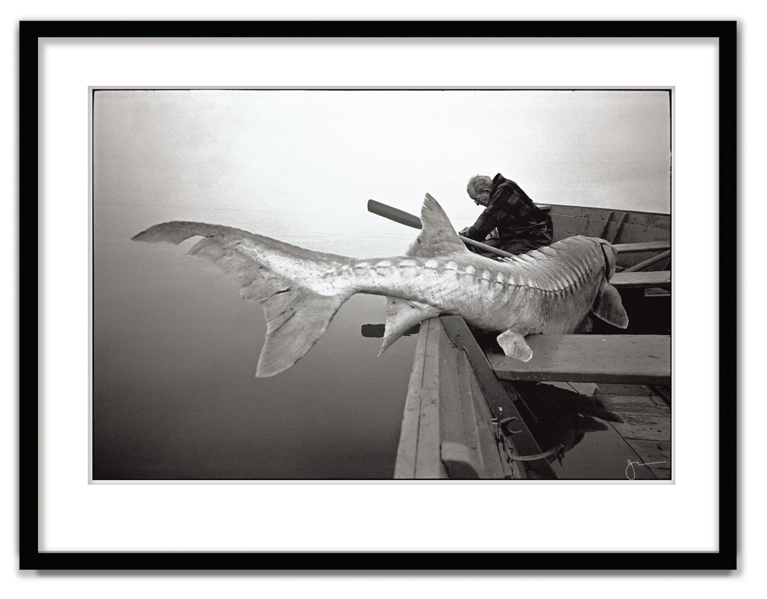 Fisherman