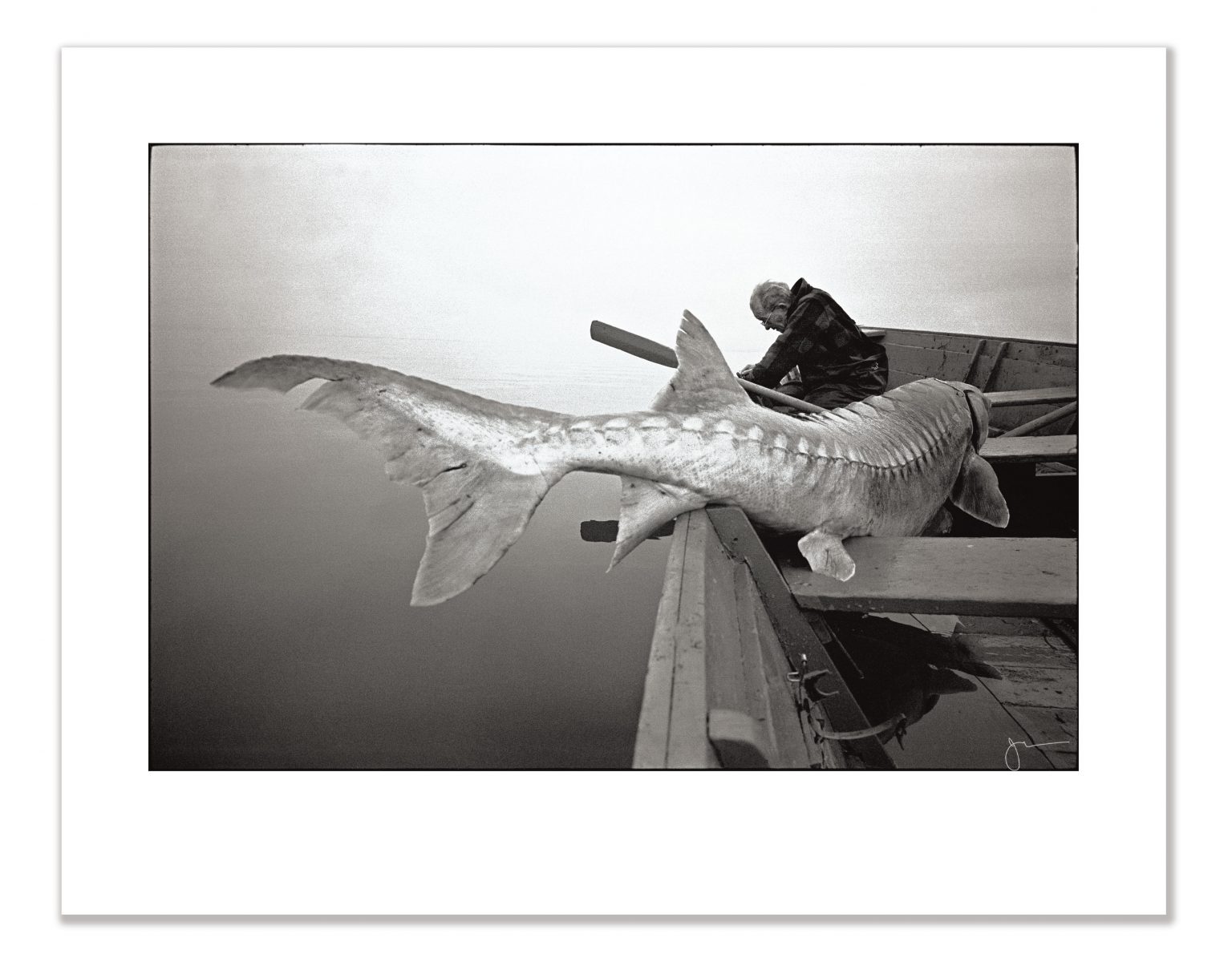 Fisherman - Image 3