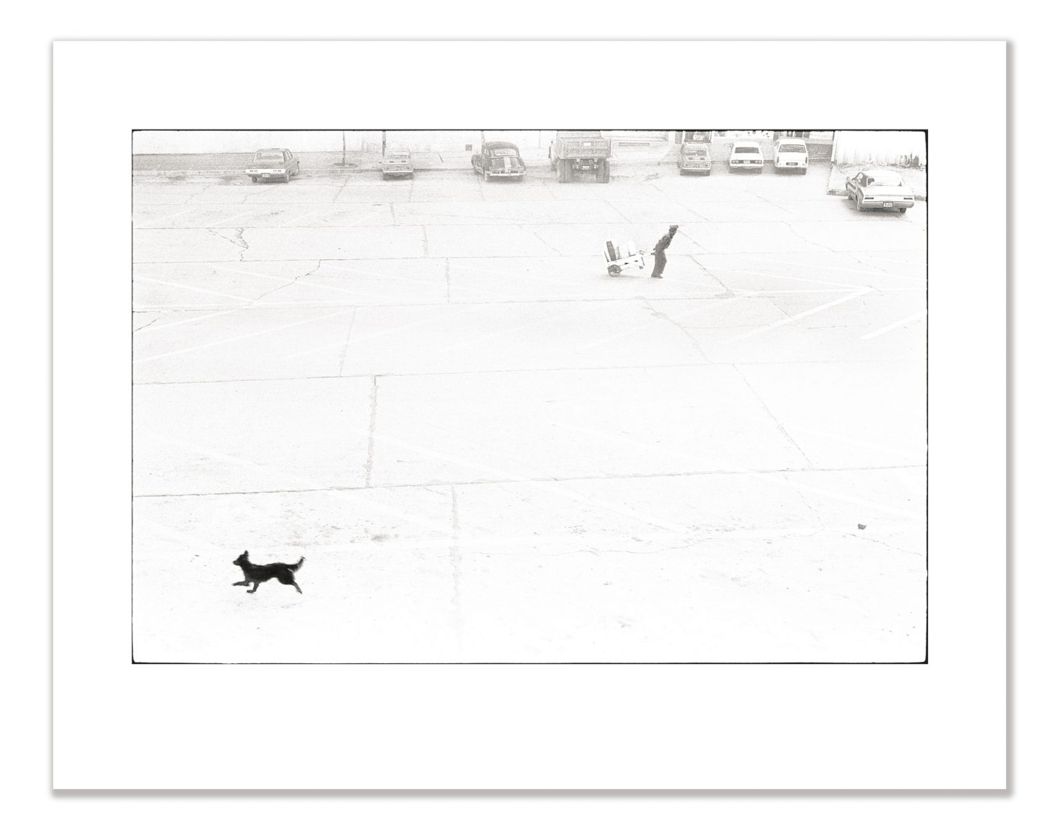 Beast & Burden - Image 3