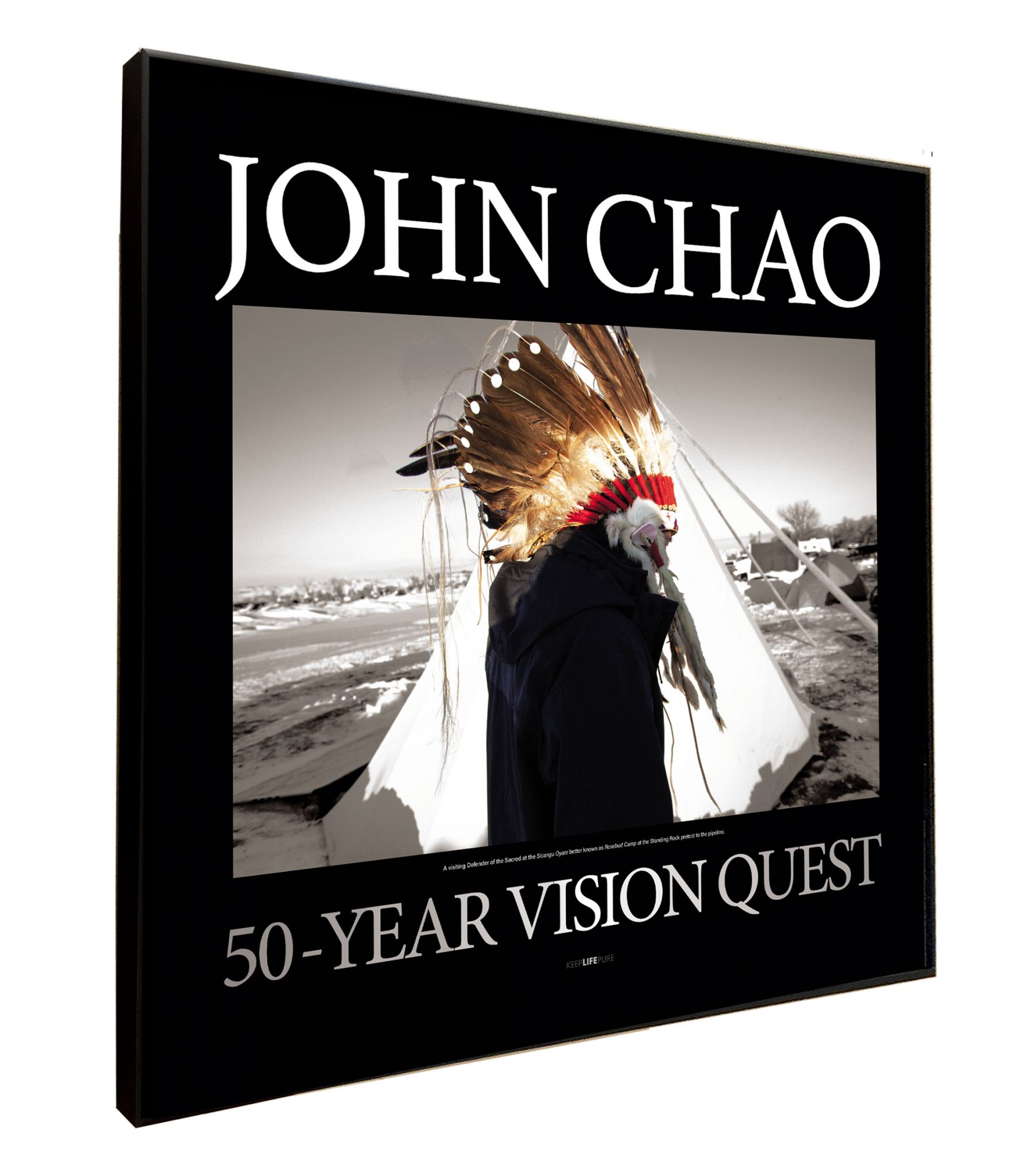 Standing Rock Chief Poster - Image 3
