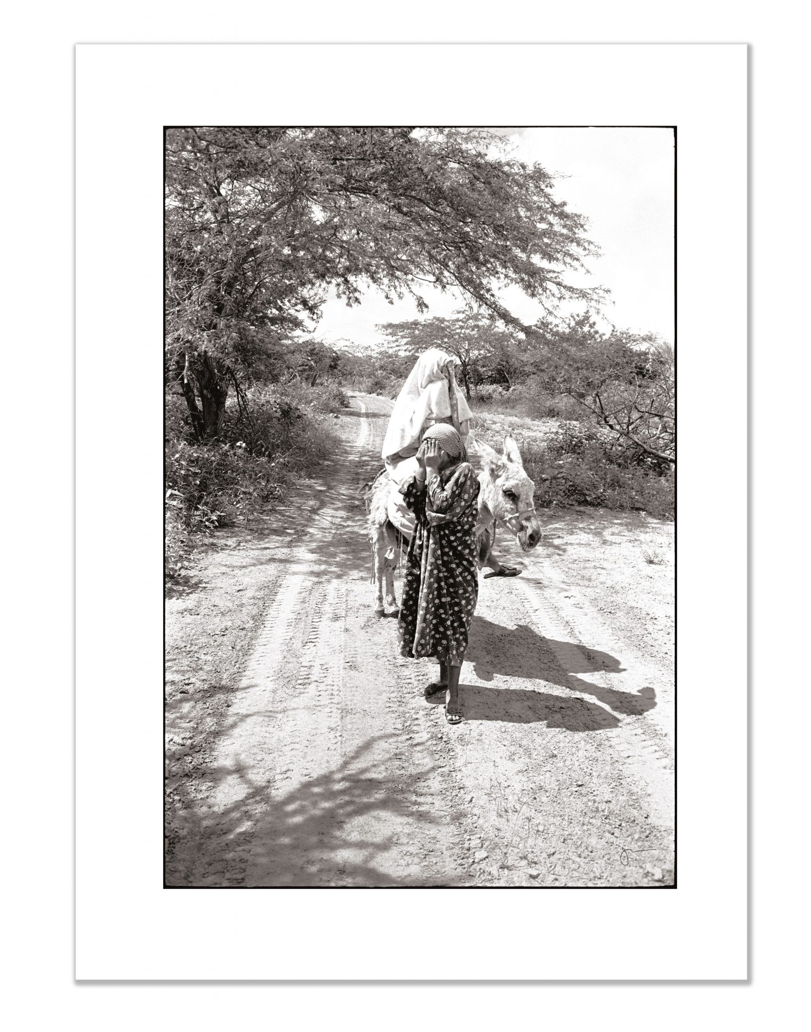 Original Shame - Image 3