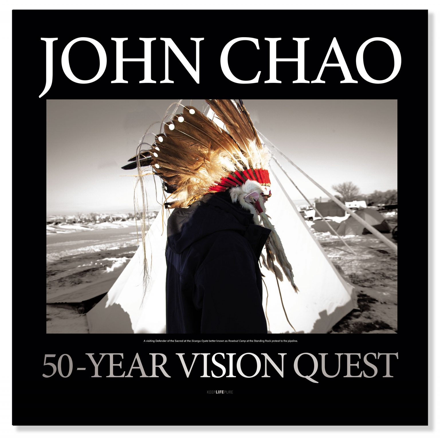 Standing Rock Chief Poster
