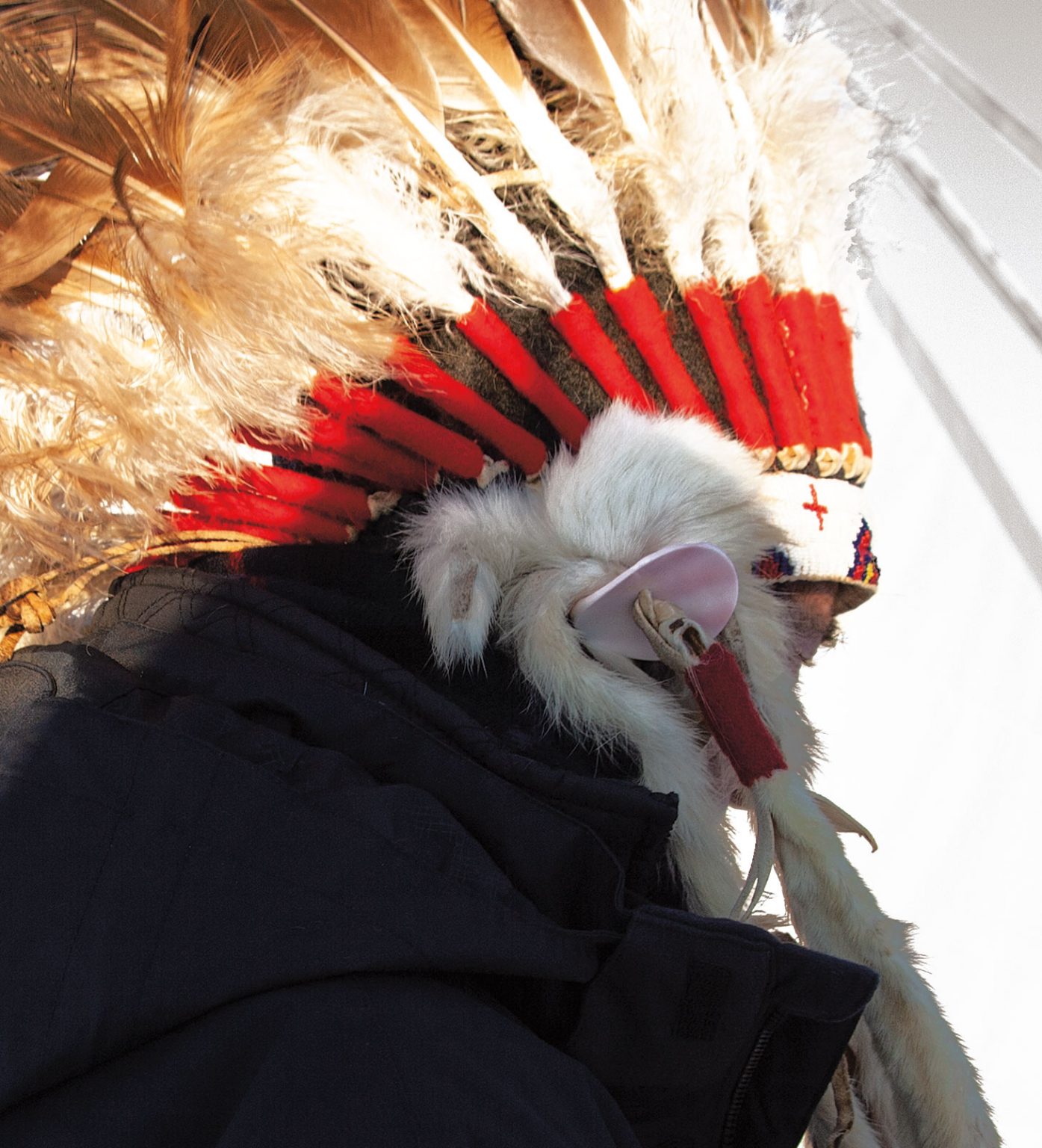 Standing Rock Chief - Image 2